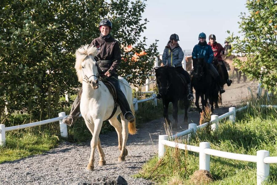 Hveragerdi: The Siggi Horse Riding Tour - Ölfus riding base: how the guide shapes your route