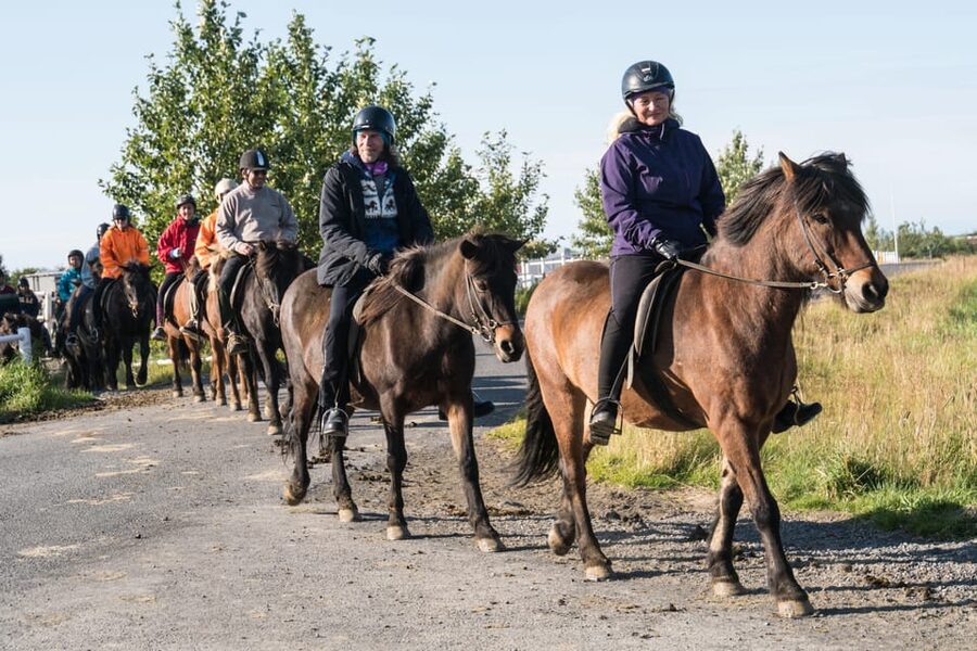 Hveragerdi: The Siggi Horse Riding Tour - The scenery loop: Varmá river, lava field, and meadow trails