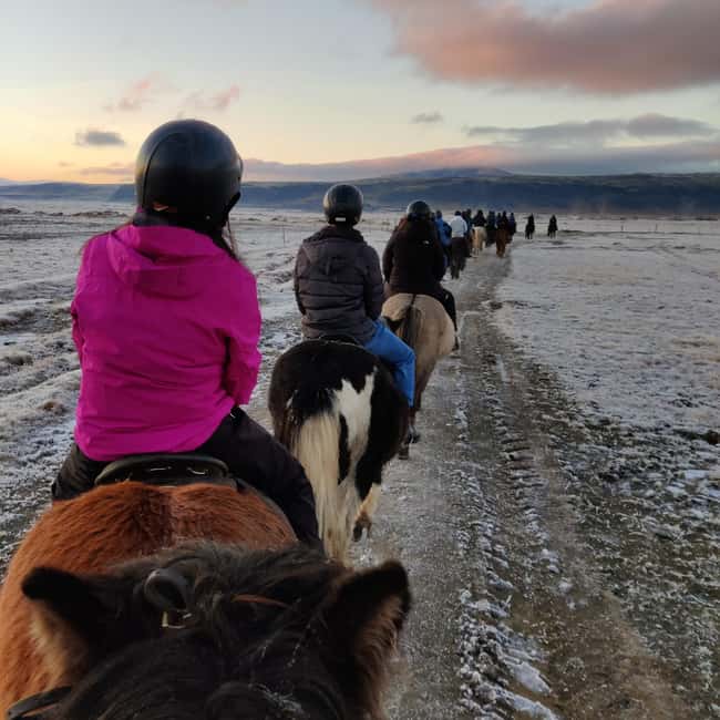 Hveragerdi: The Siggi Horse Riding Tour - Learning the tölt: what to expect and how to help it click