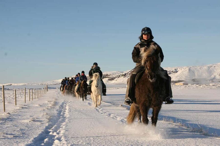 Hveragerdi: The Siggi Horse Riding Tour - Icelandic horse safety and first-timer comfort