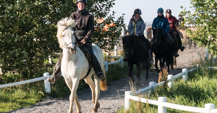 Hveragerdi: The Siggi Horse Riding Tour - What to wear, what to bring, and what to leave behind
