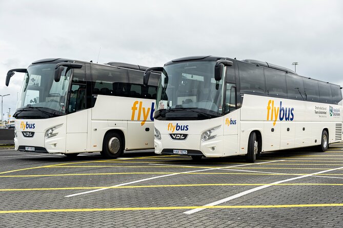 Iceland: Airport Transfers between Keflavik and Reykjavik Hotels - Key points to know before you go