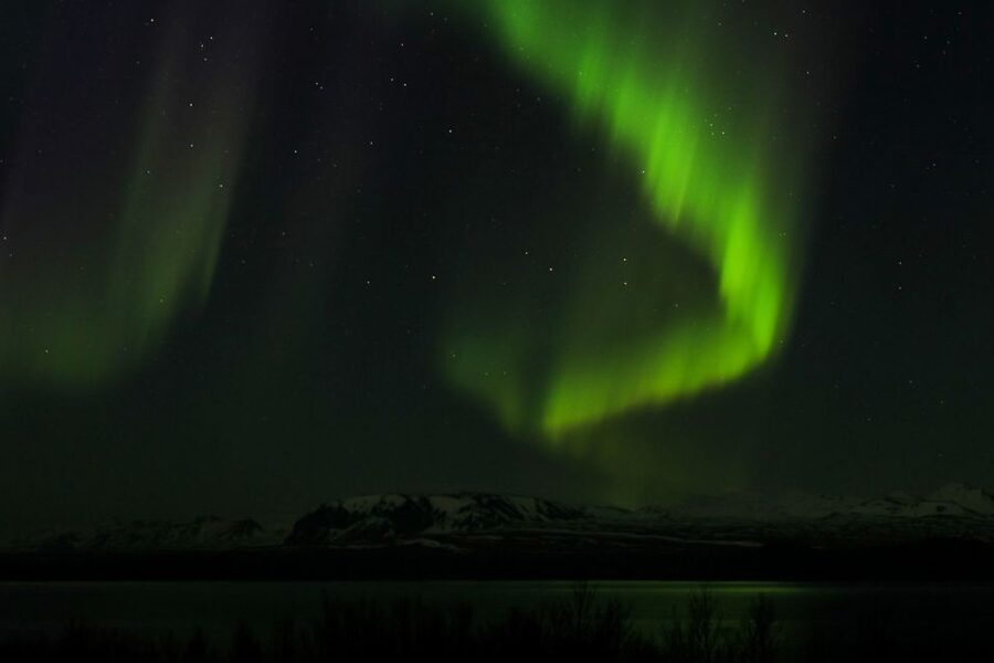 Iceland: Northern Lights Bus Tour from Reykjavik - Is the Price Worth It at About $73 Per Person?