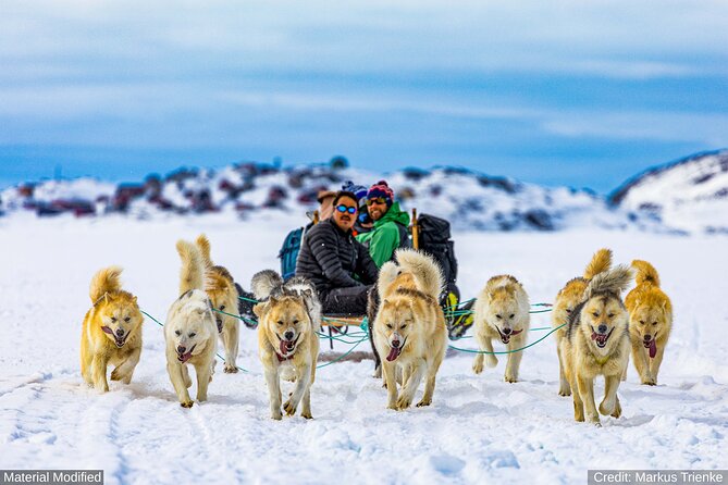 Iceland: See & Experience it ALL in 9 Days, 1st Class Custom Tours - Who should book, and what to watch for