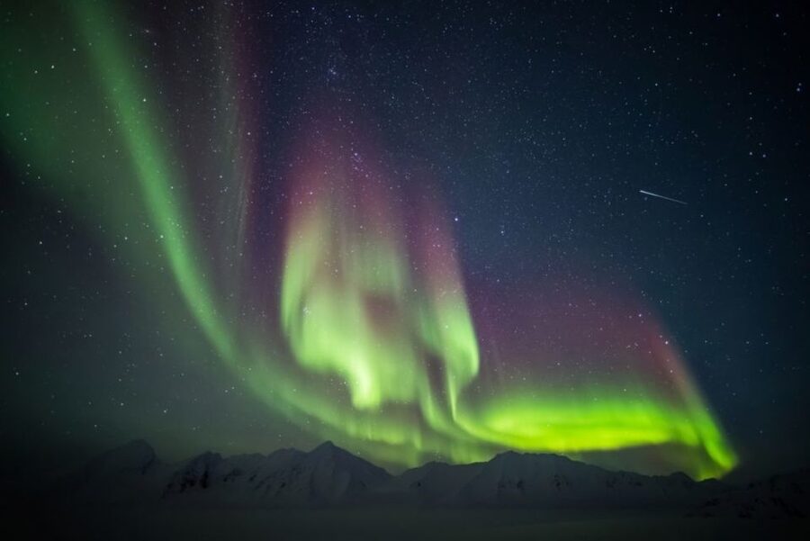 Iceland: South Coast and Northern Lights Tour - Vík break: why this small village gets a big stop