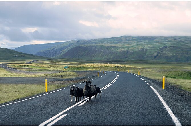 Iceland South Coast Tour with Pickup - Price and what you actually get for $172.42