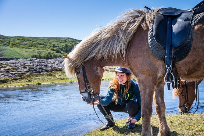 Icelandic Horse Riding and Whale Watching Tour from Reykjavik - Key things I’d bet on
