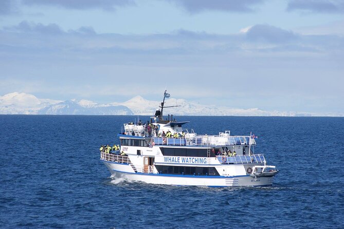 Icelandic Horse Riding and Whale Watching Tour from Reykjavik - Timing, group size, and weather: the practical reality