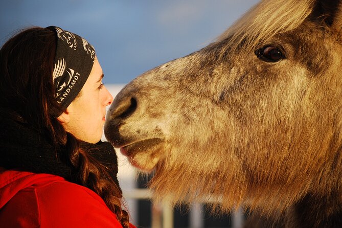 Icelandic Horse Riding and Whale Watching Tour from Reykjavik - The lava fields: photo stops that actually make sense