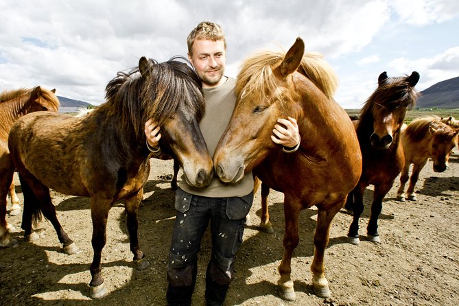 Icelandic Horseback Riding Tour Including Pick Up from Reykjavik - Reykjavik horseback riding, the no-fuss way with Icelandic horses