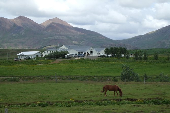 Icelandic Horseback Riding Tour Including Pick Up from Reykjavik - Gear setup at the stables: helmets, coveralls, and staying warm