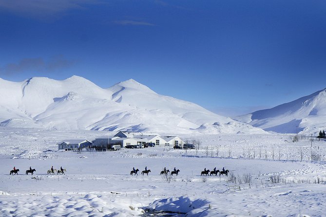 Icelandic Horseback Riding Tour Including Pick Up from Reykjavik - Matching you to your horse: how beginners get a calmer ride
