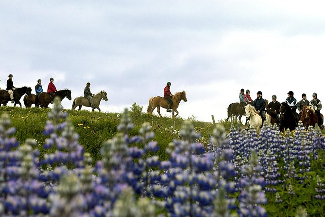 Icelandic Horseback Riding Tour Including Pick Up from Reykjavik - The ride itself: countryside time, crossings, and tölt moments