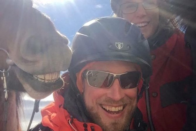 Icelandic Horseback Riding Tour Including Pick Up from Reykjavik - Back at Laxnes Horse Farm: the warm stop after the ride