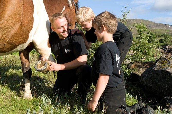 Icelandic Horseback Riding Tour Including Pick Up from Reykjavik - Who should book this ride, and who might want to reconsider
