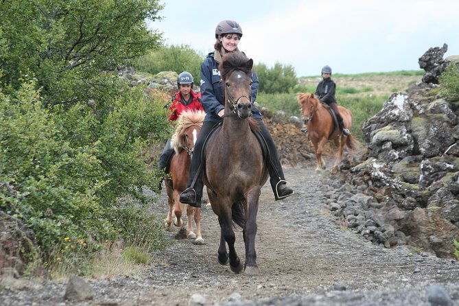 Icelandic Horseback Riding Tour with Pickup Option from Reykjavik - Key highlights at a glance