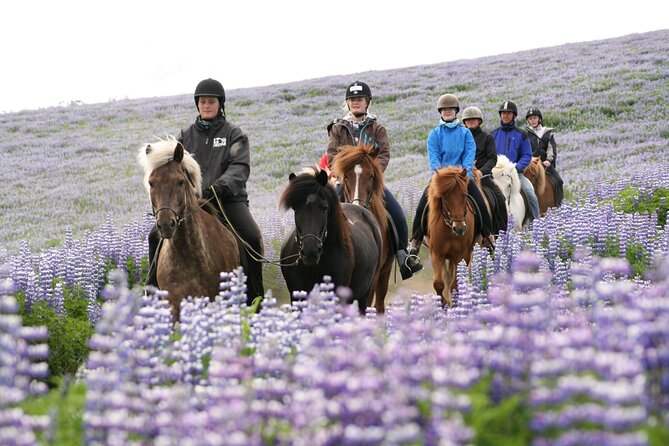 Icelandic Horseback Riding Tour with Pickup Option from Reykjavik - What the 2-hour experience actually feels like on the trail