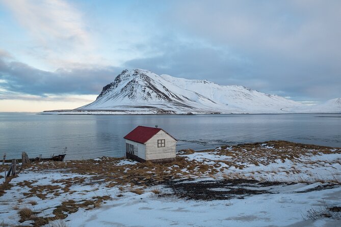 Icelands Reykjavik Self Guided Walking Audio Tour - Parliament House (Althingishus): guardians and regional symbolism