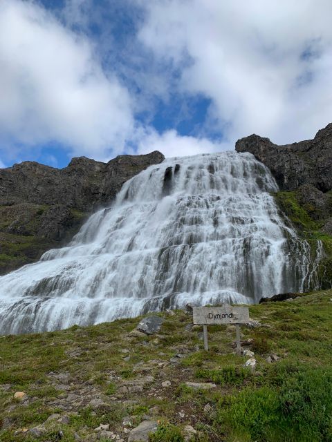 Isafjordur: Dynjandi Waterfall Tour and Icelandic Farm Visit - The half-day rhythm: what fits in 3.5 to 4 hours