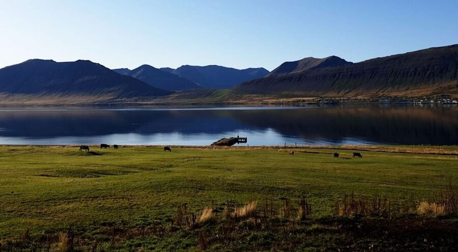Isafjordur: Dynjandi Waterfall Tour and Icelandic Farm Visit - Should you book this Dynjandi and farm combo?