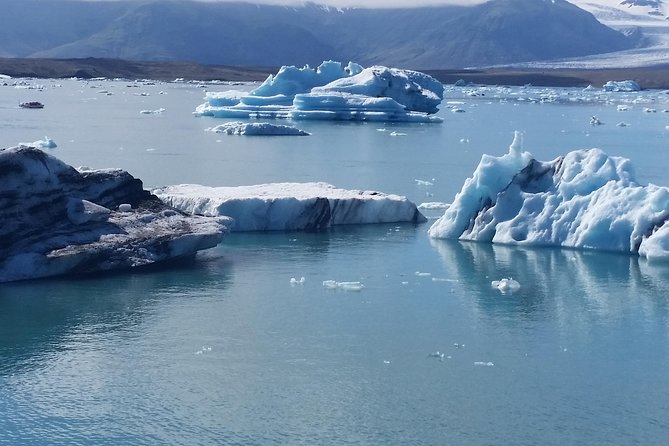 Jökulsárlón Glacier Lagoon, Diamond Beach and secret glaciers (from Djúpivogur) - Diamond Beach (Fellsfjara): black sand turns ice into confetti