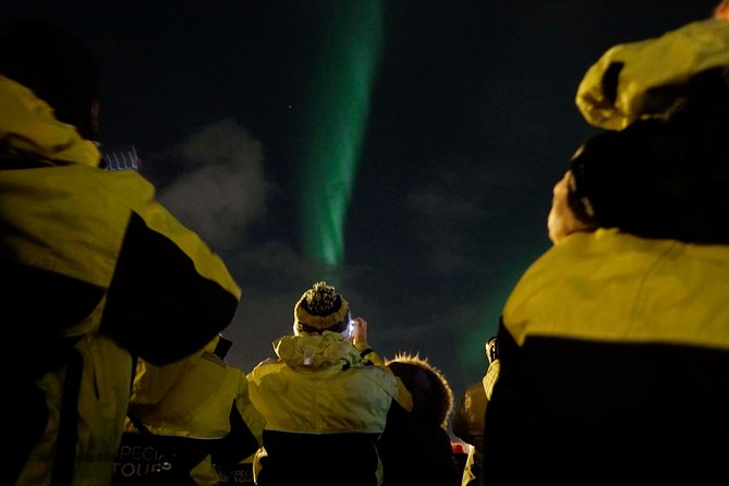 Kopar Fine Dining Dinner and Northern Lights Cruise from Reykjavik - Key takeaways before you go