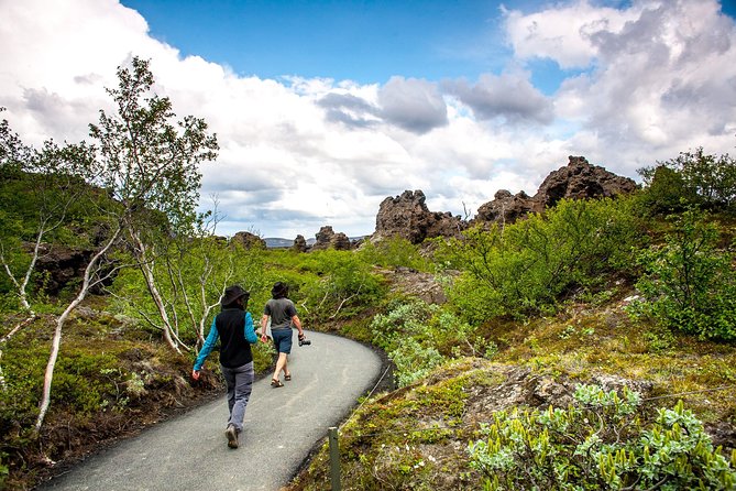 Lake Mývatn & Godafoss Small Group Tour from Akureyri Port - Mývatn Bird Museum: the small stop that gives you breathing room