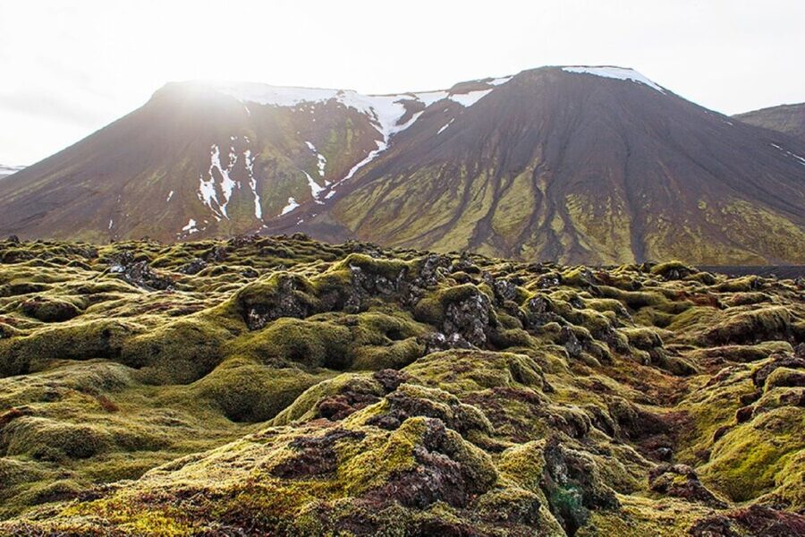 Leidarendi Cave: Lava Tunnel Caving from Reykjavik - Price of $104: what you’re really buying for your money