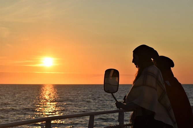 Magical Whales in the Midnight Sun | from Reykjavik - Key Things I’d Prioritize on This Midnight Sun Cruise