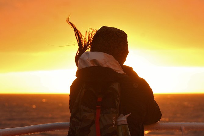 Magical Whales in the Midnight Sun | from Reykjavik - Midnight Sun Whale Watching From Reykjavik Old Harbour