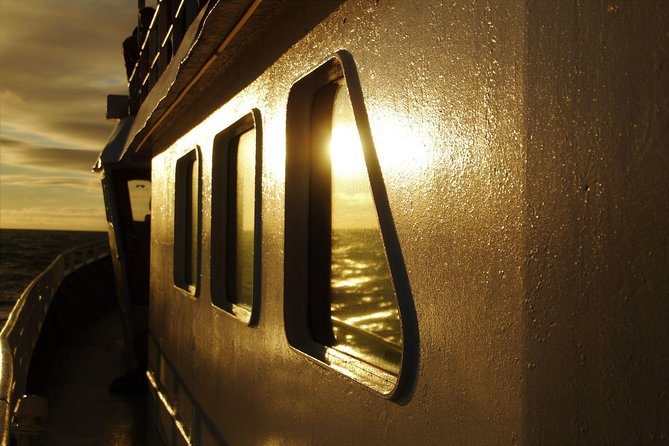 Magical Whales in the Midnight Sun | from Reykjavik - Boarding, Coveralls, and Staying Warm When the Wind Hits