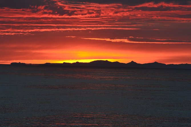 Magical Whales in the Midnight Sun | from Reykjavik - What You Might See in Faxaflói Bay (and What It Means)