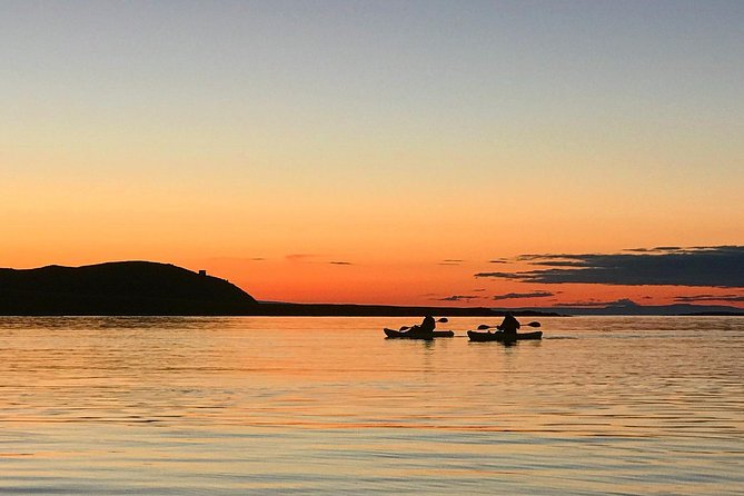 Midnight Sun Kayaking Adventure by Mt. Kirkjufell - Wildlife and Birds: Seals, Puffins, and More