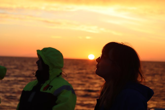 Midnight Sun Whale Watching from Reykjavik - Midnight Sun on the water: why this 9:00 pm start matters