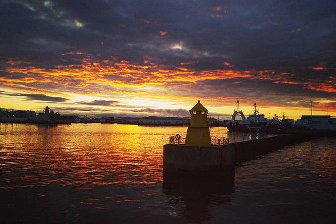 Midnight Sun Whale Watching from Reykjavik - Thermal overalls, heated seating, and seasickness help