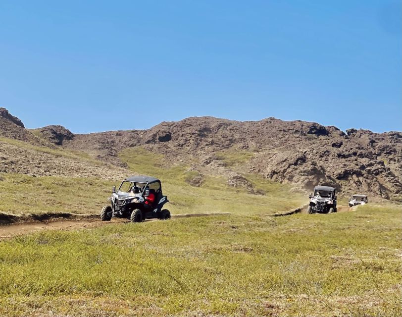 Mývatn: Lake Mývatn ATV Guided Safari Experience - Should you book the Lake Mývatn ATV safari?