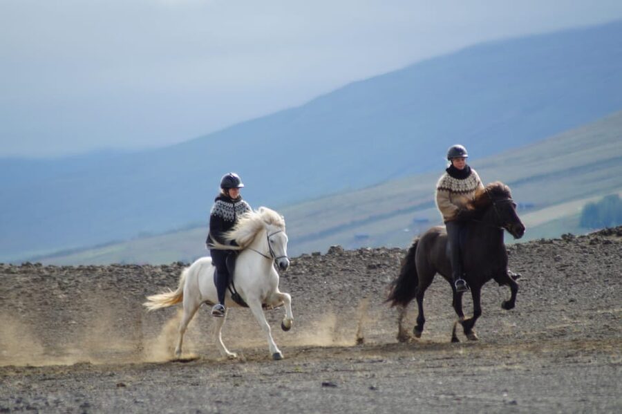North Iceland: Horseback Riding Tour - The trail in detail: river route, small lake crossing, and mossy rocks