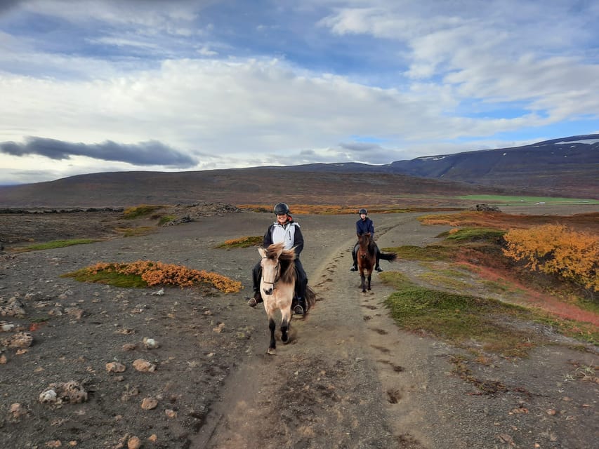 North Iceland: Horseback Riding Tour - Seasonal magic: cows in summer, sheep in autumn