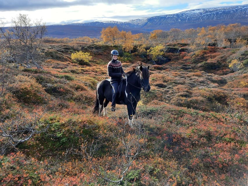 North Iceland: Horseback Riding Tour - Price and value: $141 for 2 hours of real variety