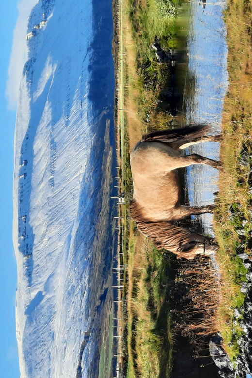 North Iceland: Horseback Riding Tour - What to wear and bring in North Iceland weather
