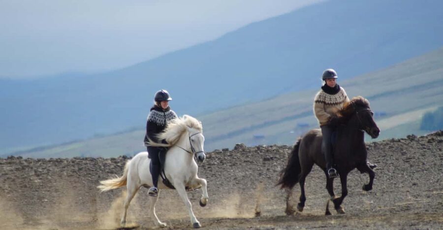 North Iceland: Horseback Riding Tour - Meet Icelandic horses and learn what the tölt is