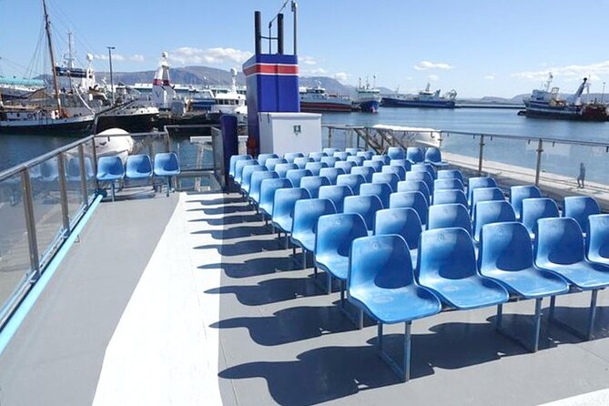 Northern Lights Boat Cruise from Reykjavik - Old Harbour House to the Open Water: What the First Minutes Feel Like