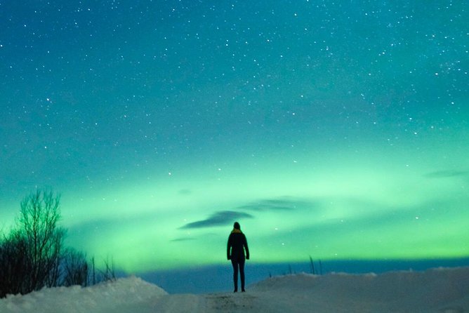 Northern Lights Bus Tour from Reykjavik with Hot Chocolate - Hot chocolate: the cozy detail that actually matters