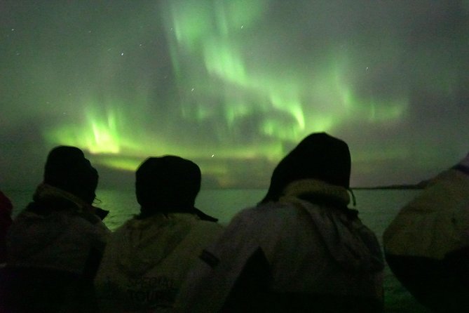 Northern Lights by Boat with a Backup Plan from Reykjavik - Comfort, Timing, and Group Size: What It Feels Like in Real Life