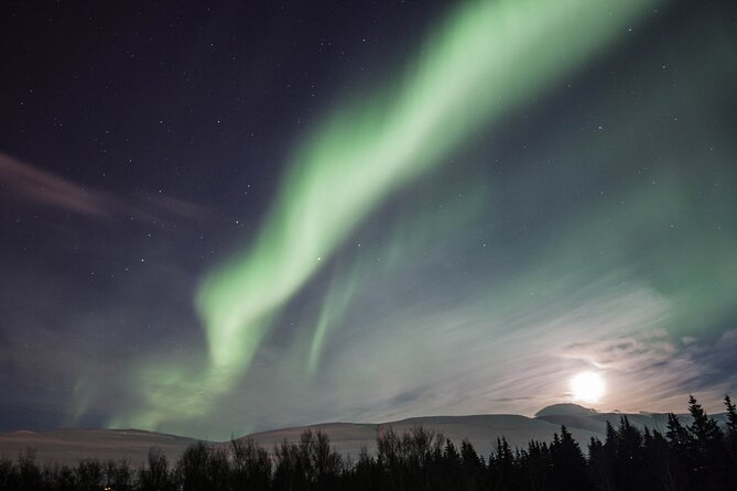 Northern Lights Classic MiniBus Tour from Akureyri - Key Things to Know Before You Go