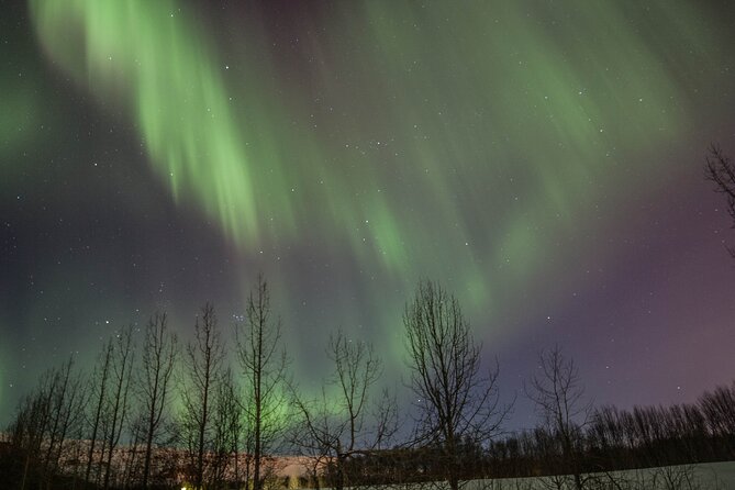 Northern Lights Classic MiniBus Tour from Akureyri - Free Retry the Next Evening, and Why It Changes the Math