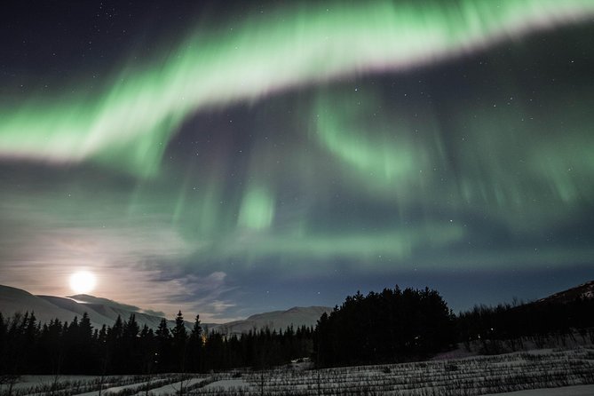 Northern Lights Classic MiniBus Tour from Akureyri - The Drive Out of Akureyri and What the Viewing Stops Feel Like