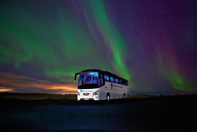 Northern Lights Guided Bus Tour from Reykjavik - Value check: is $73 worth it?
