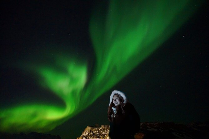 Northern Lights Small Group Tour from Reykjavik - Should You Book This Simply Iceland Northern Lights Tour?