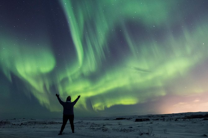 Northern Lights Small Group Tour from Reykjavik with Free Photos - When the Aurora Shows Up: The Part You Came For